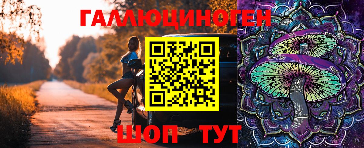 Заинск  Псилоцибиновые грибы ЛСД  Вход с VPN  Псилоцибиновые грибы мухоморы 